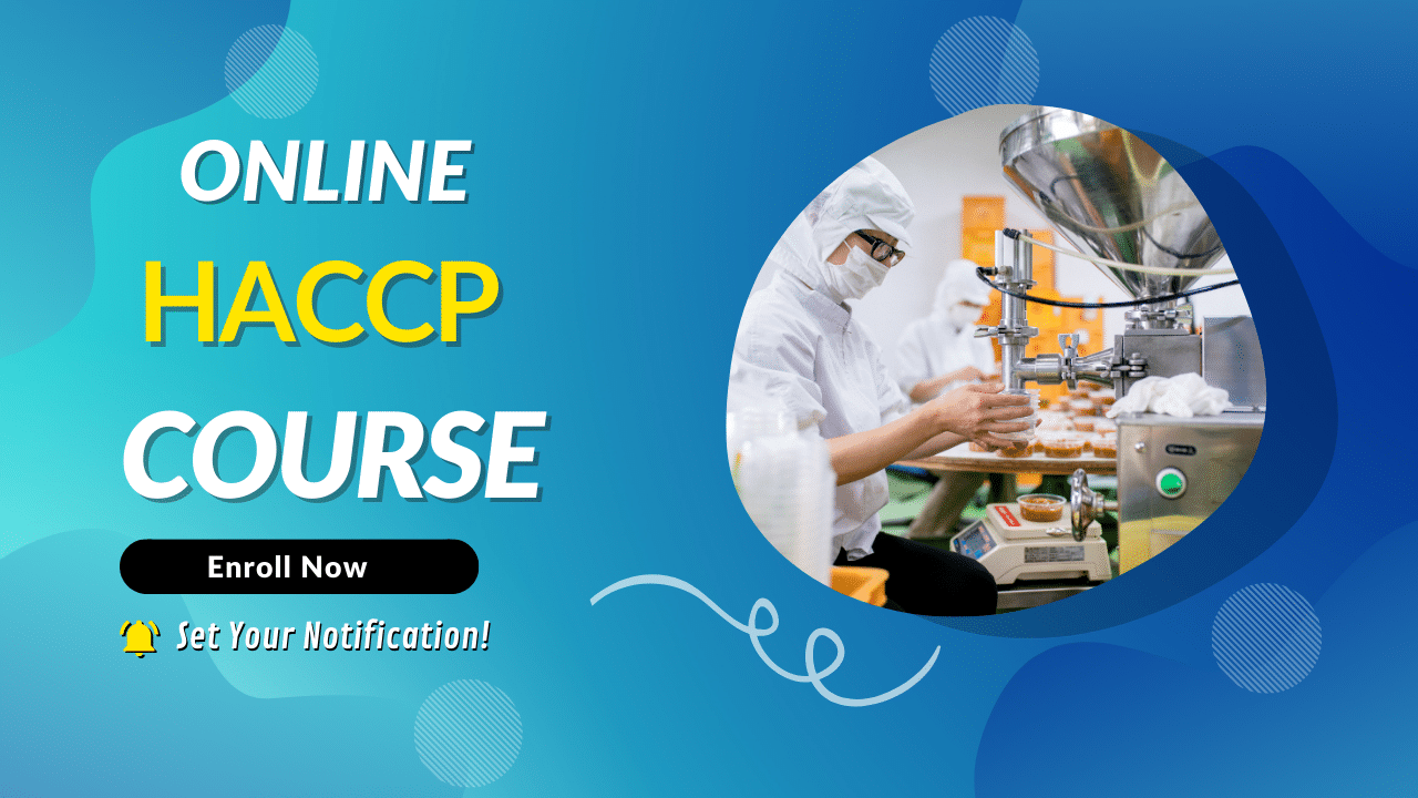 Kurs zur HACCP-Version