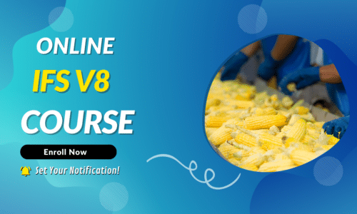 IFS V8 version course