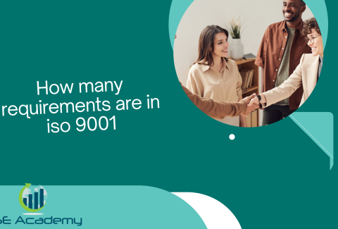 How many requirements are in iso 9001