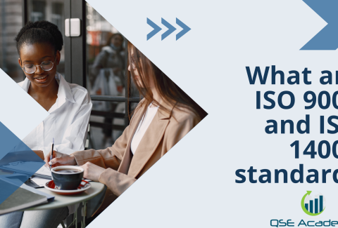 What are ISO 9001 and ISO 14001 standards