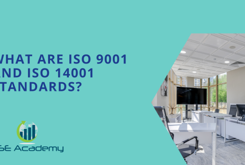 What are ISO 9001 and ISO 14001 standards